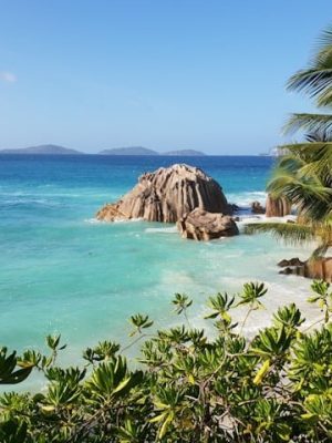 A comprehensive guide to the Seychelles for tourist.